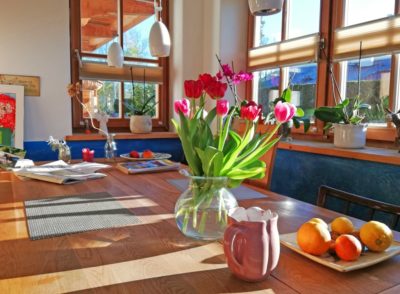 Tulpen machen glücklich während der Coronakrise