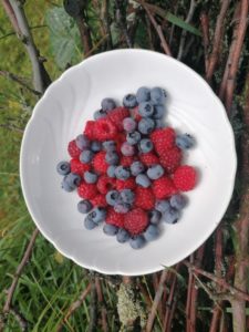 Beeren