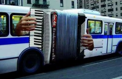 Bei einem Akkordeon wird Musik durch die Stimmzungen erzeugtt