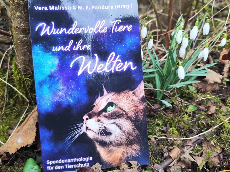 Tierschutz