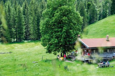 Musi auf der Alm - Bayralm